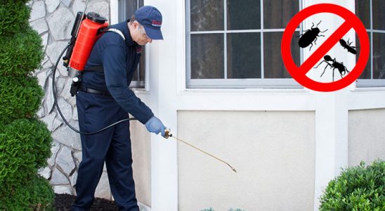 Bursa Gümüşkurt İlaçlama böcek ilaçlama ve haşere kontrolü — ilaclama-tr.com